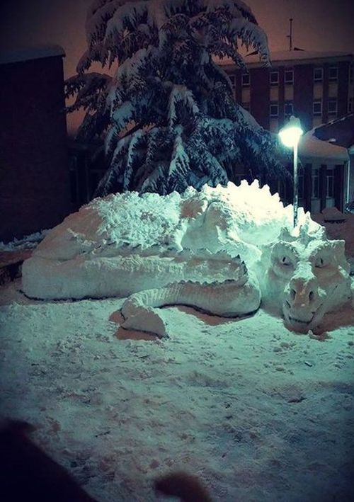 Весёлые картинки