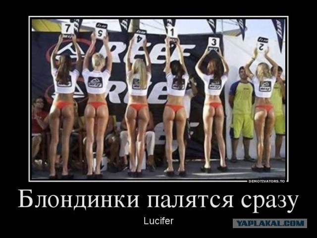 Демотиваторы вторника