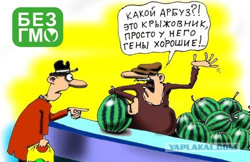 ГМО. Головной Мозг Отсутствует.