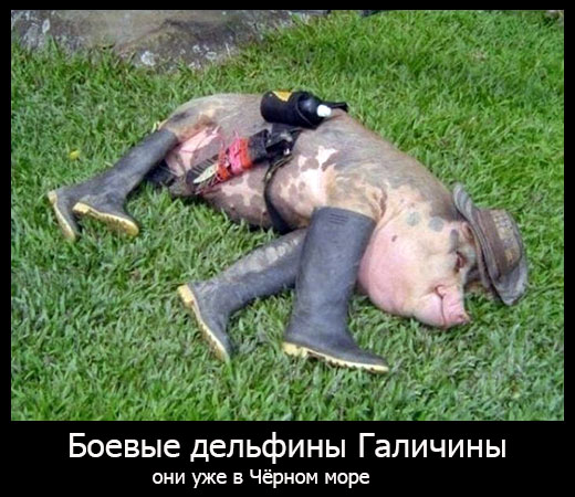 Обзор сми по Украине