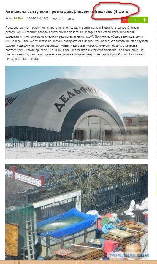 Опять Вологодская область, опять Череповец.