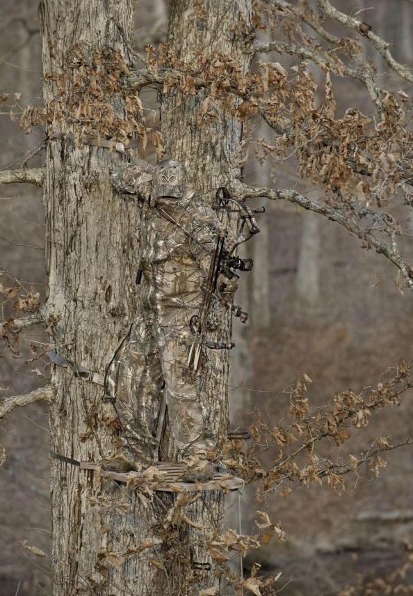 Тайна китайского камуфляжа