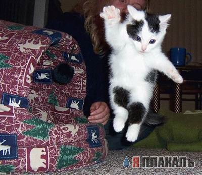 Внимание! У Ликоса пропала совесть!