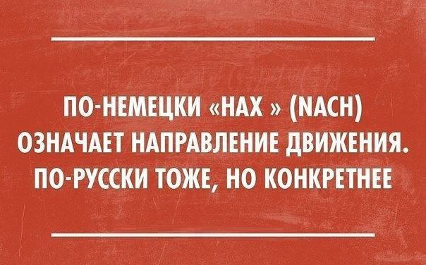 Прикольные картинки, интересные цитаты и мысли