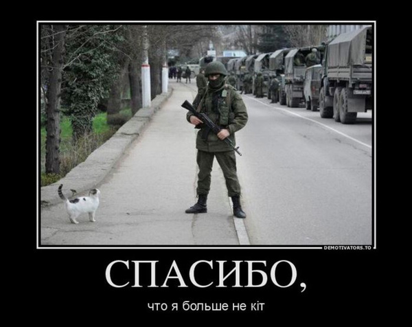 Севастополь захвачен котами!