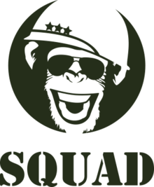 Squad — сверхреалистичный командный шутер.