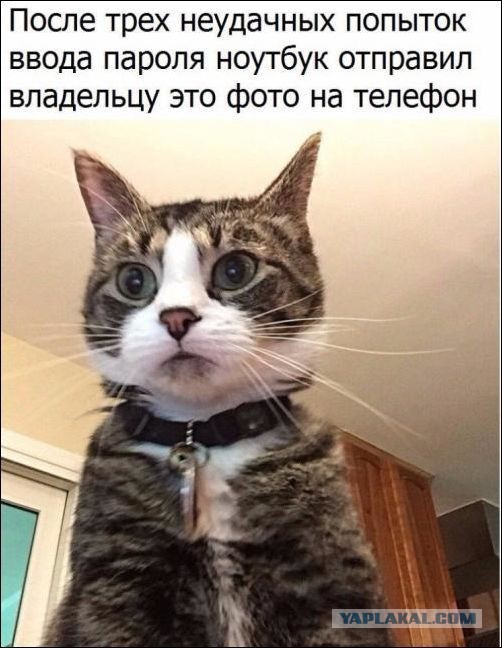 Смешные комментарии из социальных сетей 19.05.2017