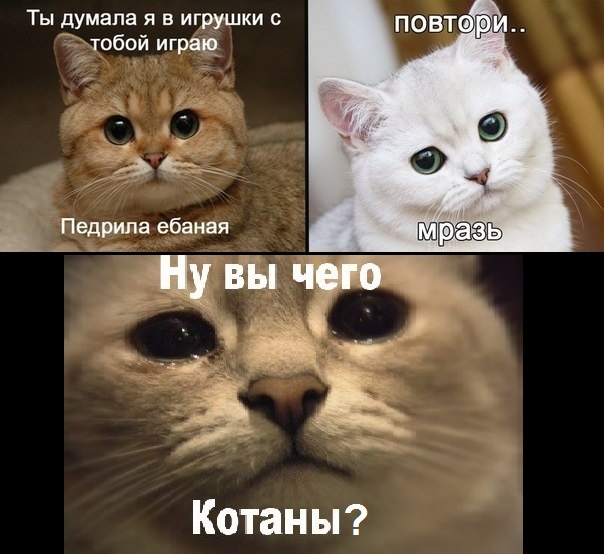 Я Курю Как Ебаная Мразь