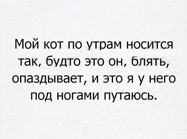 Забавные шутки, фразы и комментарии из этих ваших интернетов