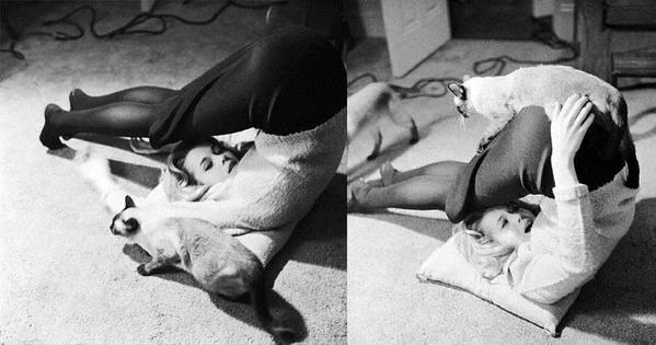 Интересные и редкие фотографии