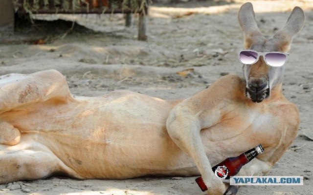 Крошка, иди ко мне