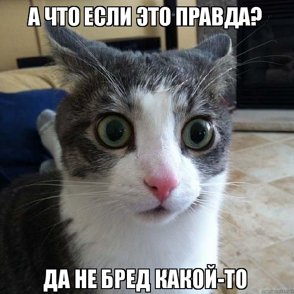 Несколько машин во дворе с одним номером