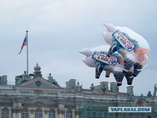 Свинчег парил над Дворцовой