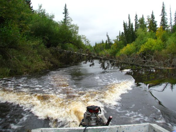 Экспедиция в тайгу. Туризм по тайге. Экспедиция в тайгу. Учения в тайге. Экспедиция в лес.