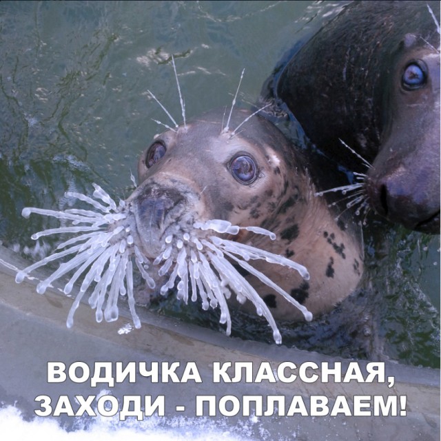 Бредзона 26.12.2019