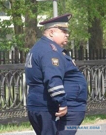 В красноярском аэропорту мужчина избил полицейского