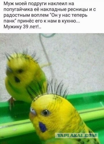 Бредзона 15.10.2020