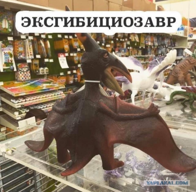 «А вы на шкаф залезьте!»