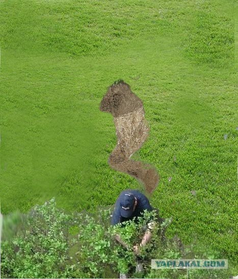 Что нам снег, что нам зной