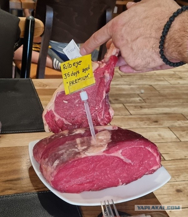 Пчелы, это не только вкусный мёд