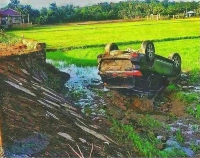 Всякие картинки,  но больше куаркодная и политота
