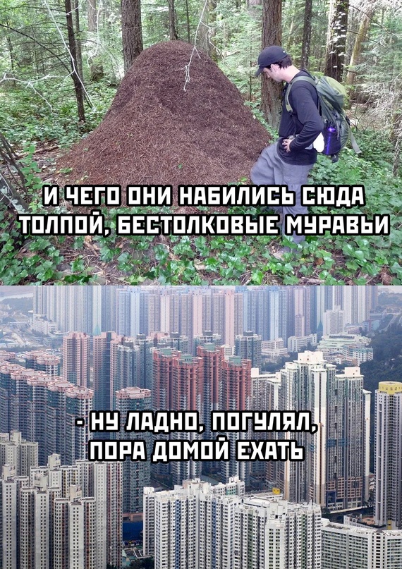 Весёлый полтишок 26.04.22