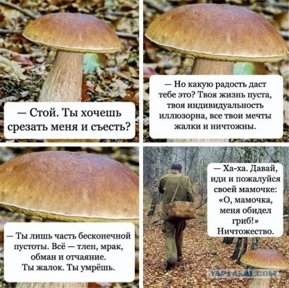 По грибы