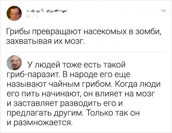 Картинки и мемы для настроения - 131