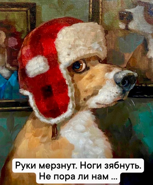Приколы с налетом деградации