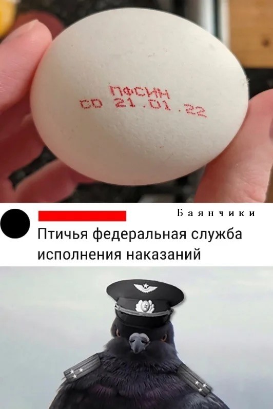 Три яичные фабрики оказались связаны с депутатами.