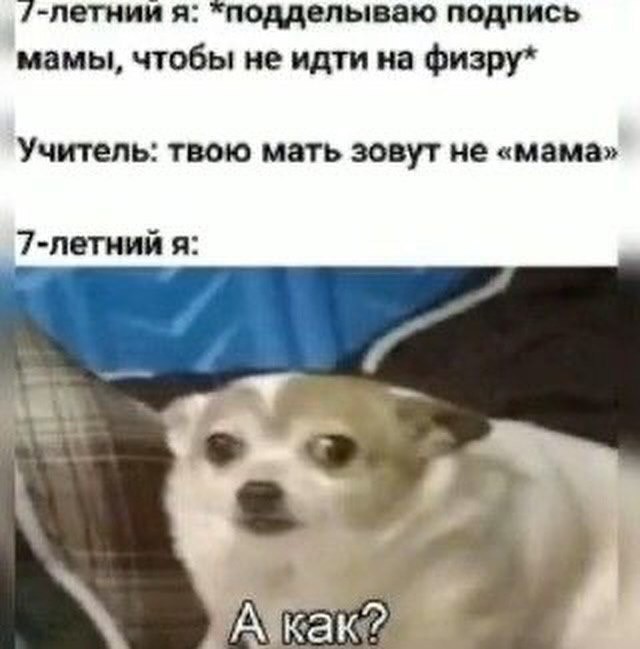 Отряд быстрого деградирования