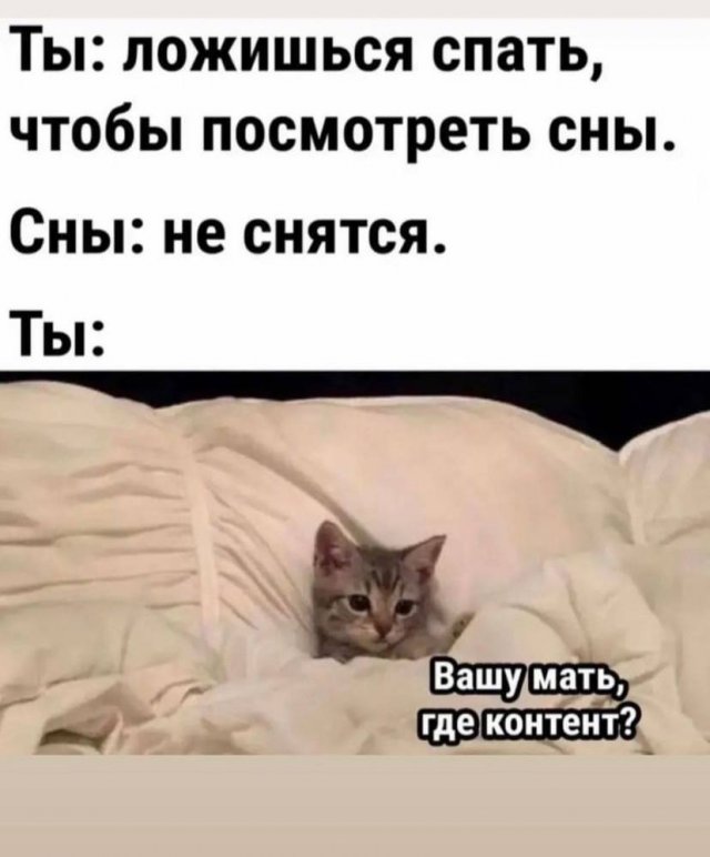 Так себе картинки 01.09.24