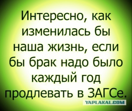 Картинки из интернетов