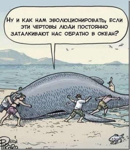 Картинки всякие