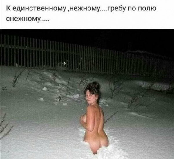 Так себе картинки 31.12.25