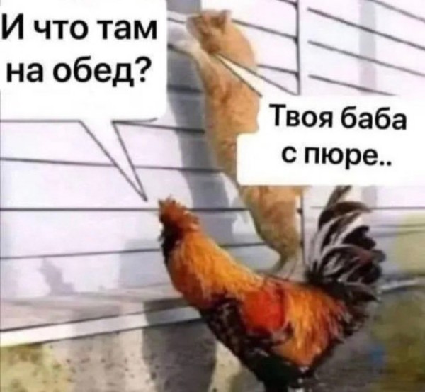 Картинки для деградации 254 (разной степени сежести)