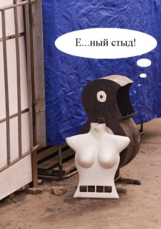 Креативная пёсомусорка