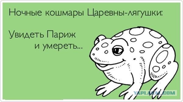 Приколы и маразмы 2