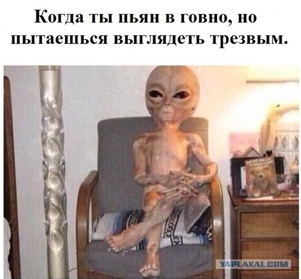 Gen Direktor Ren Tv Yaplakal