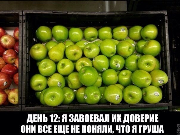Картинки