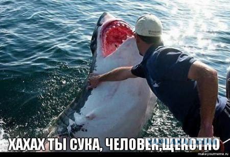 Настойчивая