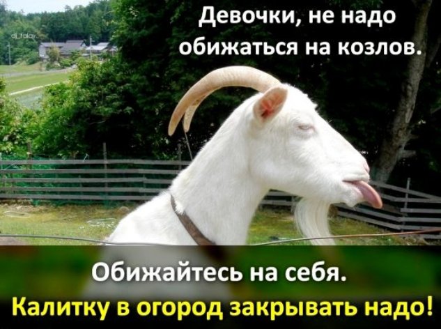 Девочки за 40
