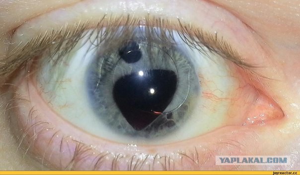 55 Интересных фактов.