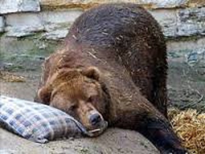 Пропавший парень варил снег и охотился на рябчиков
