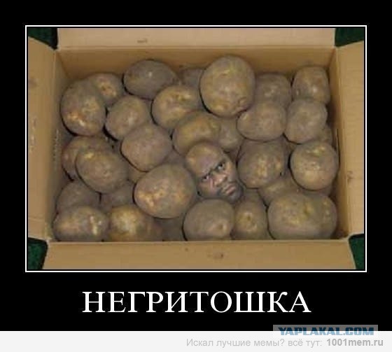 Пятничная подборка