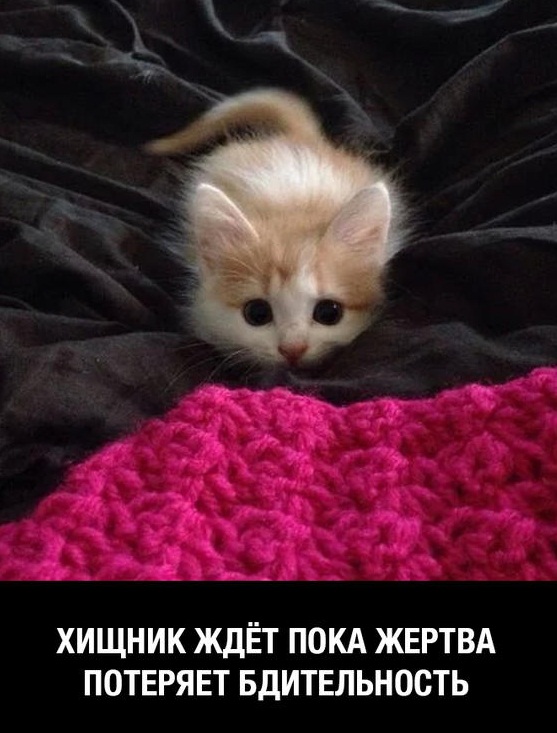 Сборник "баянов" со всего Интернета - 2
