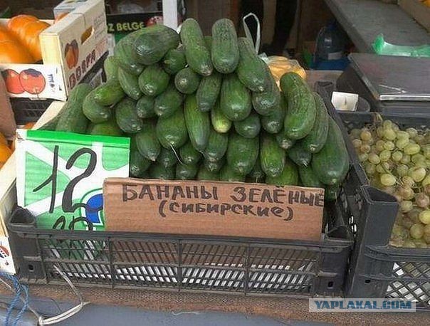 Картинки на субботу