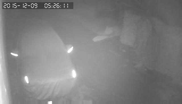 За что я люблю китайцев