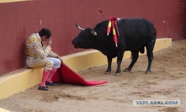 Поцелуй Иуды