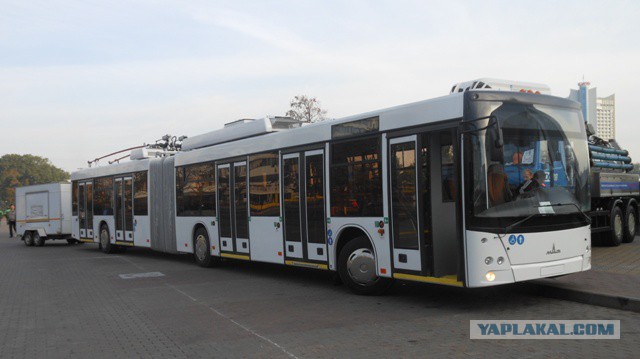 Автобусная авантюра от МАЗа, ставшая легендой